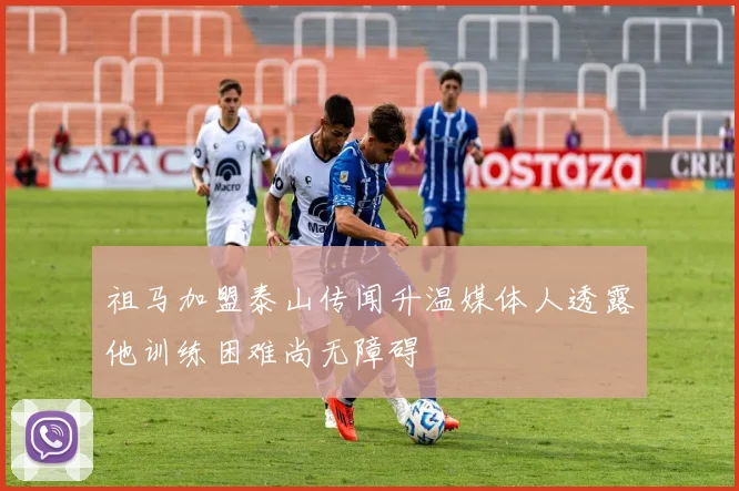 祖马加盟泰山传闻升温媒体人透露他训练困难尚无障碍