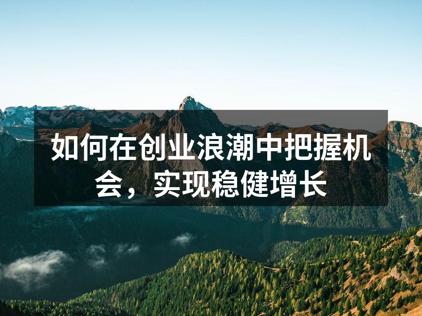 如何在创业浪潮中把握机会，实现稳健增长